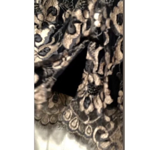$224 BLACK LACE & GOLD SILK BROCADE DRESS NEW - Picture 7 of 8